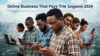 30 Online Business That Pays Daily in Nigeria Without Much Investment 2026/2027