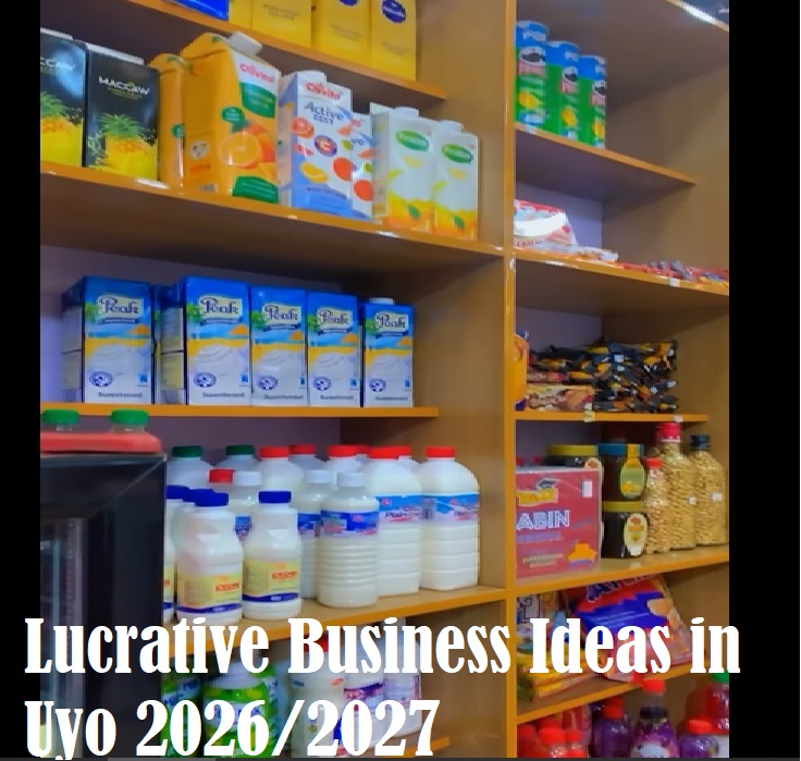 Lucrative Business Ideas in Uyo 2026/2027