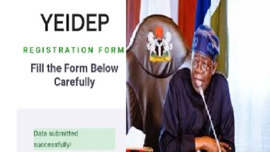 YEIDEP Batch B Recruitment 2026 and the N500000 Youth Startup Grant Opportunity