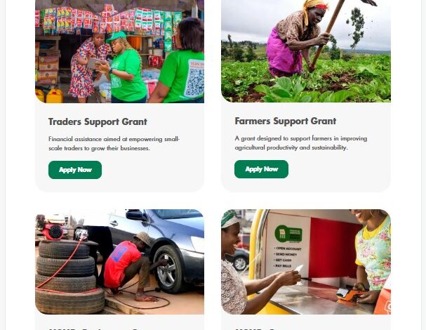 Akwa Ibom State Arise Business Grant 2026 a Complete Guide for Applicants